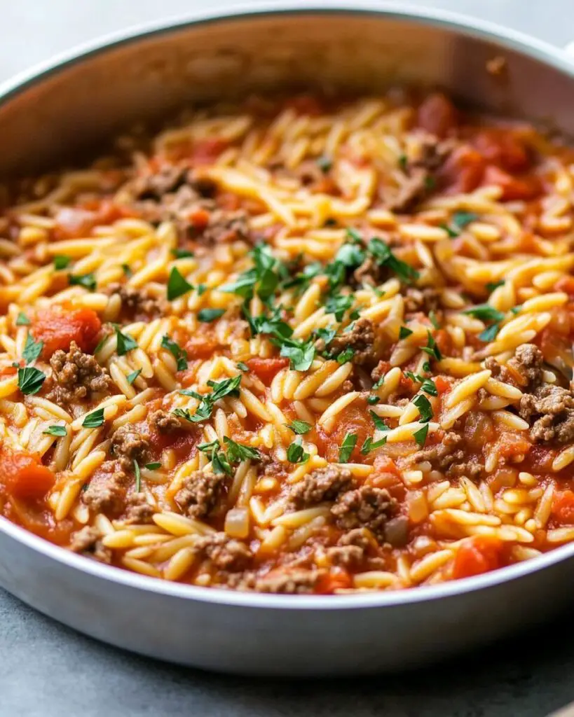 One-Pot Tomato Beef Orzo