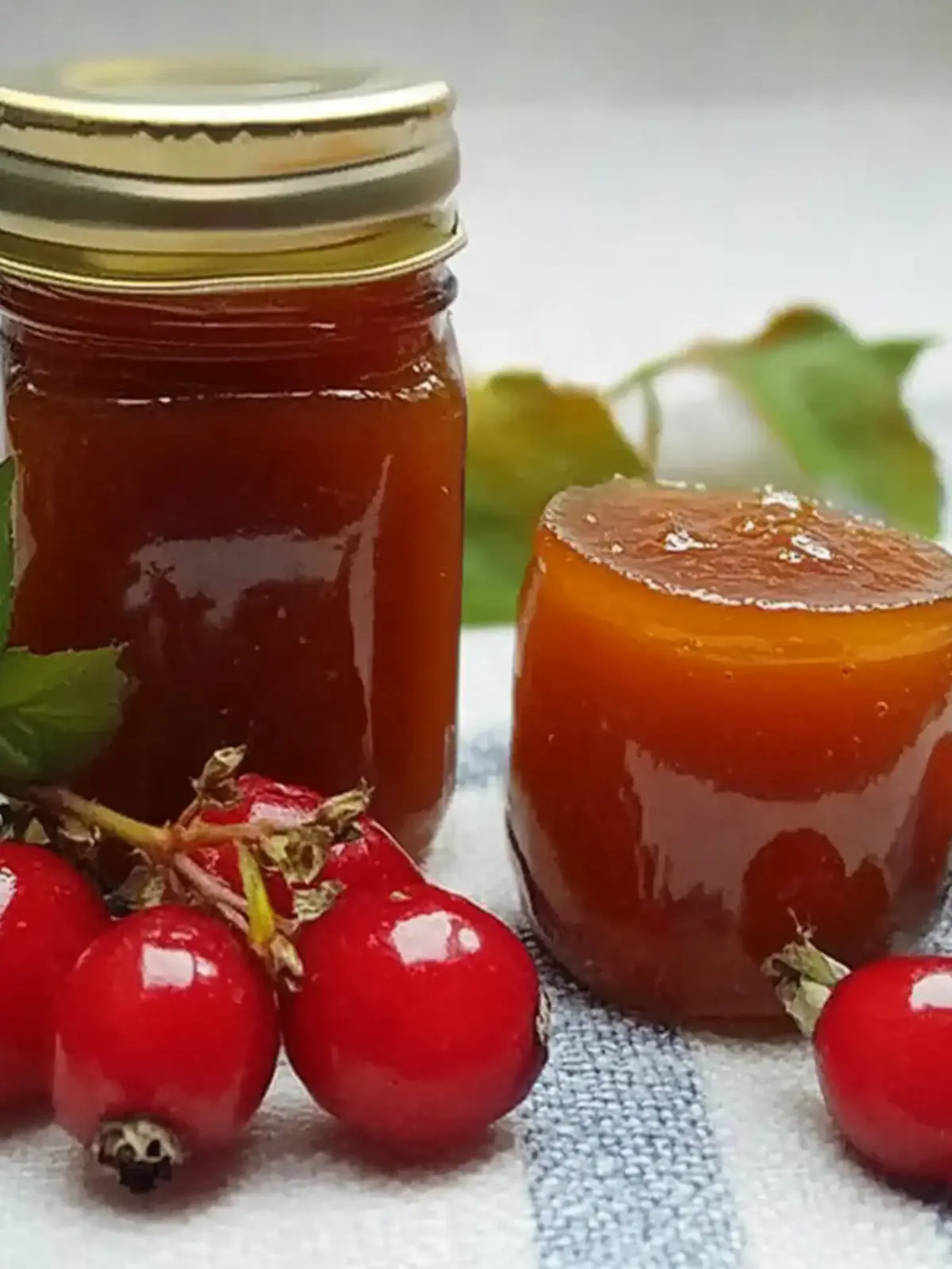 Rose Hip Freezer Jam