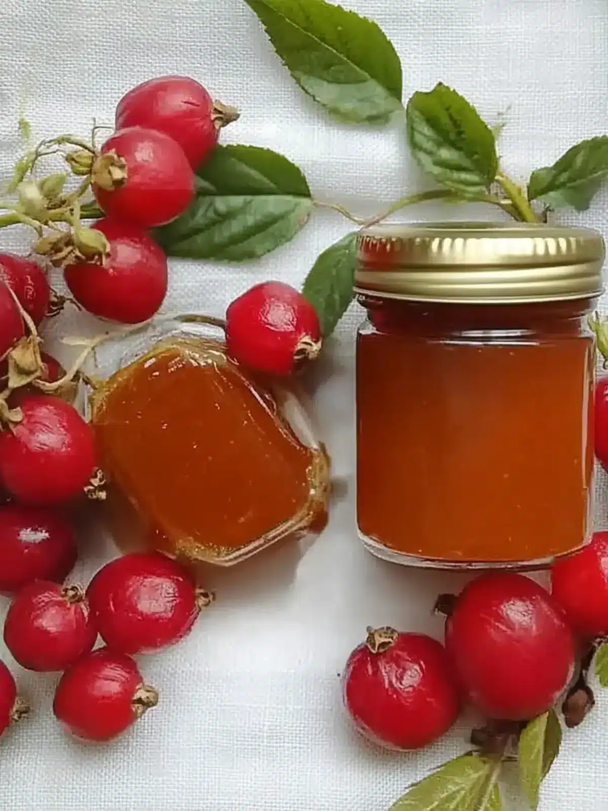 Rose Hip Freezer Jam