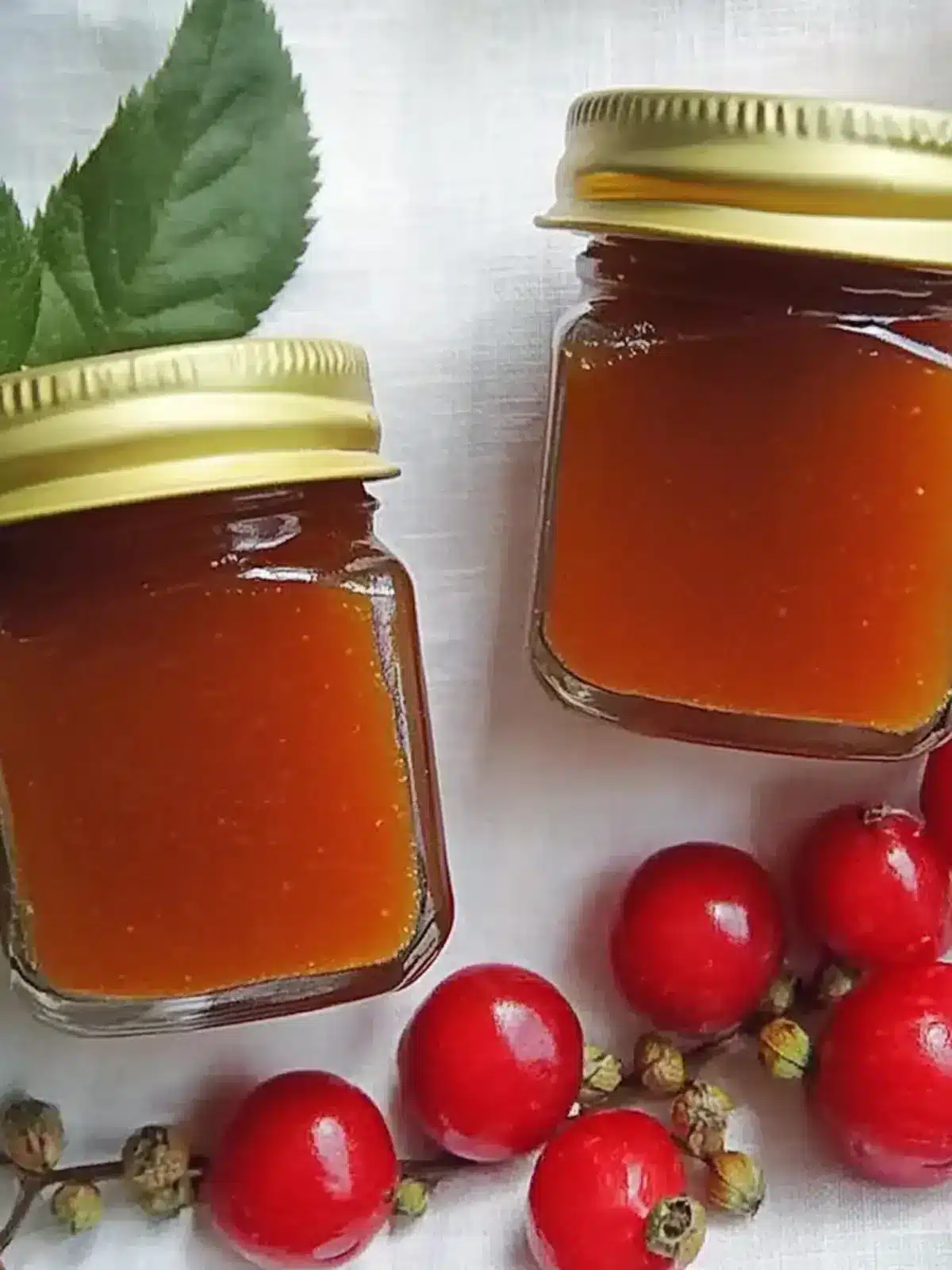 Rose Hip Freezer Jam