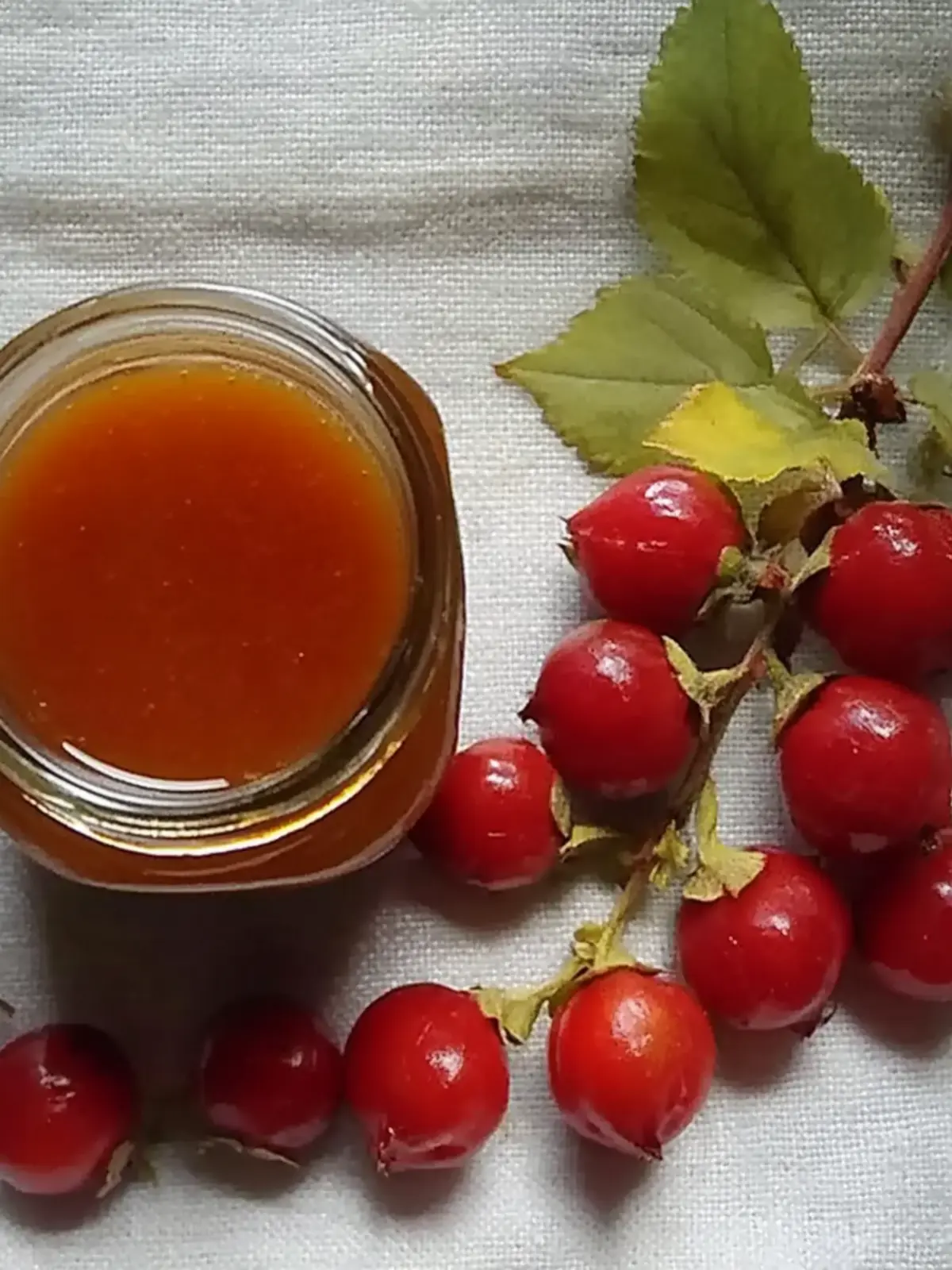 Rose Hip Freezer Jam