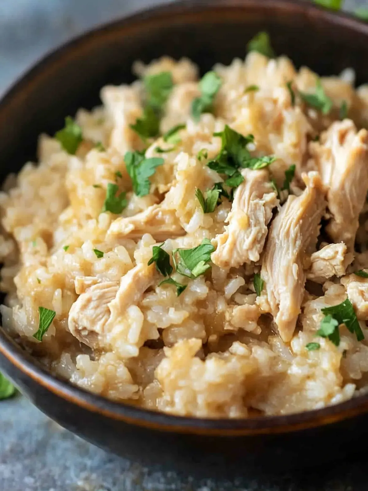 Slow Cooker Chicken and Rice