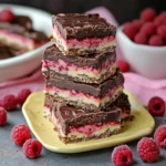 Irresistible Chocolate Raspberry Bars That Steal the Show 9 Chocolate Raspberry Bars